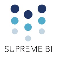 Supreme BI LLC