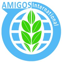 Amigos International Consultancy logo - Similar company to Gr Design