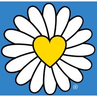 Driving Miss Daisy Isle of Wight logo - Similar company to Hivca (Hampshire And Isle Of Wight Vcse Health And Care Alliance)