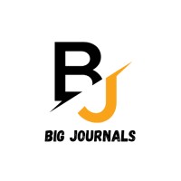 Big Journals logo - Similar company to D-Ample Newspaper