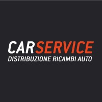 Car Service Srl logo - Similar company to Assotech Srl
