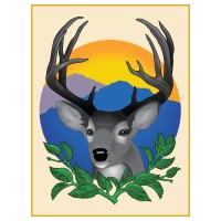 Sunshawl Services, Inc.