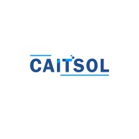 Caitsolofficial logo - Similar company to Quantic It Solutions