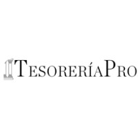TesoreríaPro logo - Similar company to Toptier Padel