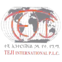 TEJI International logo - Similar company to Singlecurrency