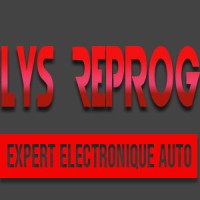 LYS REPROG logo - Similar company to Damo (Diagnostic Automobile Mécanique Ouvrière)