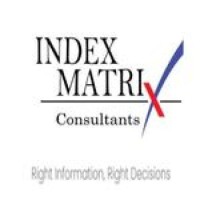 Index Matrix logo - Similar company to Nicholls Anzani Family Lawyers