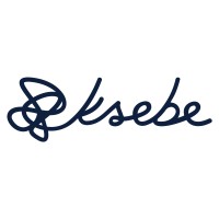 ksebe logo - Similar company to Fleetbrains