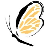 Little Wings
