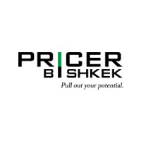 Pricer Bishkek logo - Similar company to Storra