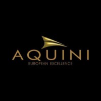 Aquini logo - Similar company to Klaystore