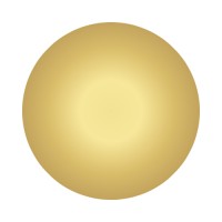 AltSpot Capital logo - Similar company to Noctouro