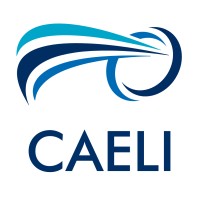 CAELI logo - Similar company to Plan