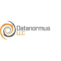 Datanormus Inc logo - Similar company to Imr Soft Llc