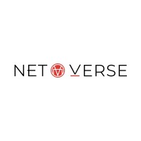 NETVERSE logo - Similar company to Netvector It Services