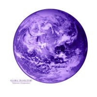 1Global Translators logo - Similar company to Taskflow | Virtual Assistance