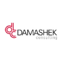Damashek Consulting