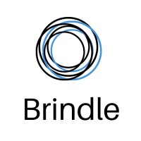 Brindle Labs logo - Similar company to Insage