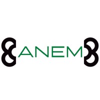 Anem Advanced Logistics logo - Similar company to Kebel Logistics