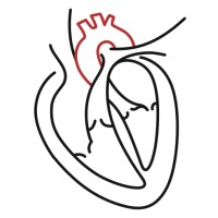 QHeart Medical logo - Similar company to Egr Automotive