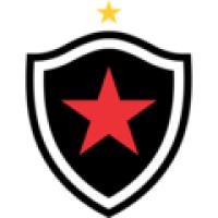 Botafogo Futebol Clube logo - Similar company to Abc Futebol Clube