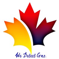 Crowngas Detection System - Doha, Qatar logo - Similar company to Zenith Technical Services Wll