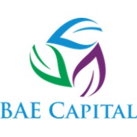 BAE Capital LLC logo - Similar company to Bae Capital
