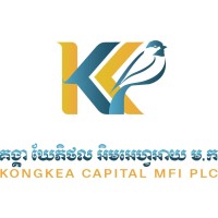 KONGKEA CAPITAL MFI PLC logo - Similar company to （株）テクノクレア