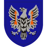 11th Expeditionary Combat Aviation Brigade