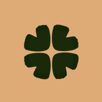 The Health Effort logo - Similar company to Adjacency Group