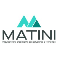 Matini Servicios de Consultoría logo - Similar company to Isabel Matini