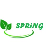 Spring Engineering Works
