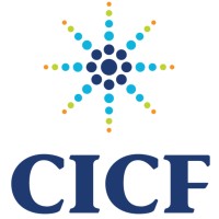 Central Indiana Community Foundation logo - Similar company to The International Center (Indianapolis)