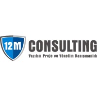 12M Consulting logo - Similar company to 12M Tech