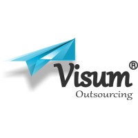 Visum Services logo - Similar company to Flyder Immigration