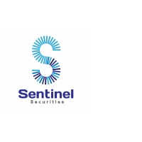 SentinelSec IFSC LLP logo - Similar company to Dg Realty