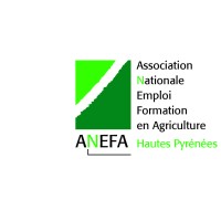 ANEFA des Hautes-Pyrénées logo - Similar company to Yemoja Rh - Valérie Monnier -  Drh Externalisée À Temps Partagé