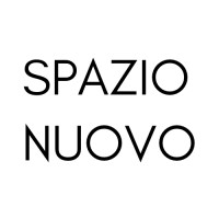 Spazio Nuovo Contemporary Art logo - Similar company to Clark Priftis Art