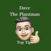 Dave the Plantman logo - Similar company to Mark One Hire