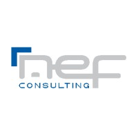 NeF Consulting logo - Similar company to Holiprom