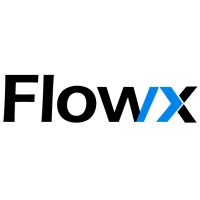 FlowX Consultancy logo - Similar company to 1Digitalnl