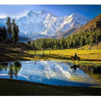 Lifetime Travels Pakistan logo - Similar company to Well Spotted