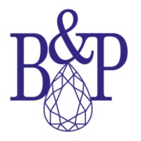 Berr and Partners logo - Similar company to Tiamonds
