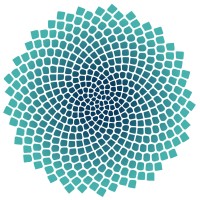 Ahyoka International logo - Similar company to Solutions, Your Organized Living Store
