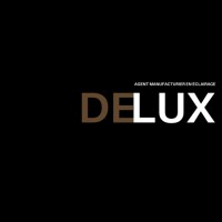 Delux inc logo - Similar company to Rep Technology, Llc