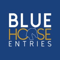 Blue Horse Entries logo - Similar company to Ms Exosis Software