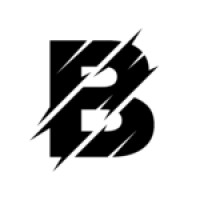 BAM Financial Solutions LLC
