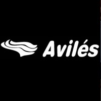 GRUPO AVILÉS logo - Similar company to Grupo Marca