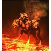Cerberus Multi Family Asset Management LLC