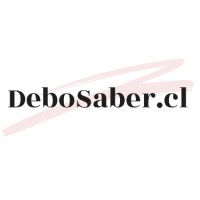 DeboSaber.cl logo - Similar company to Vitas Balance